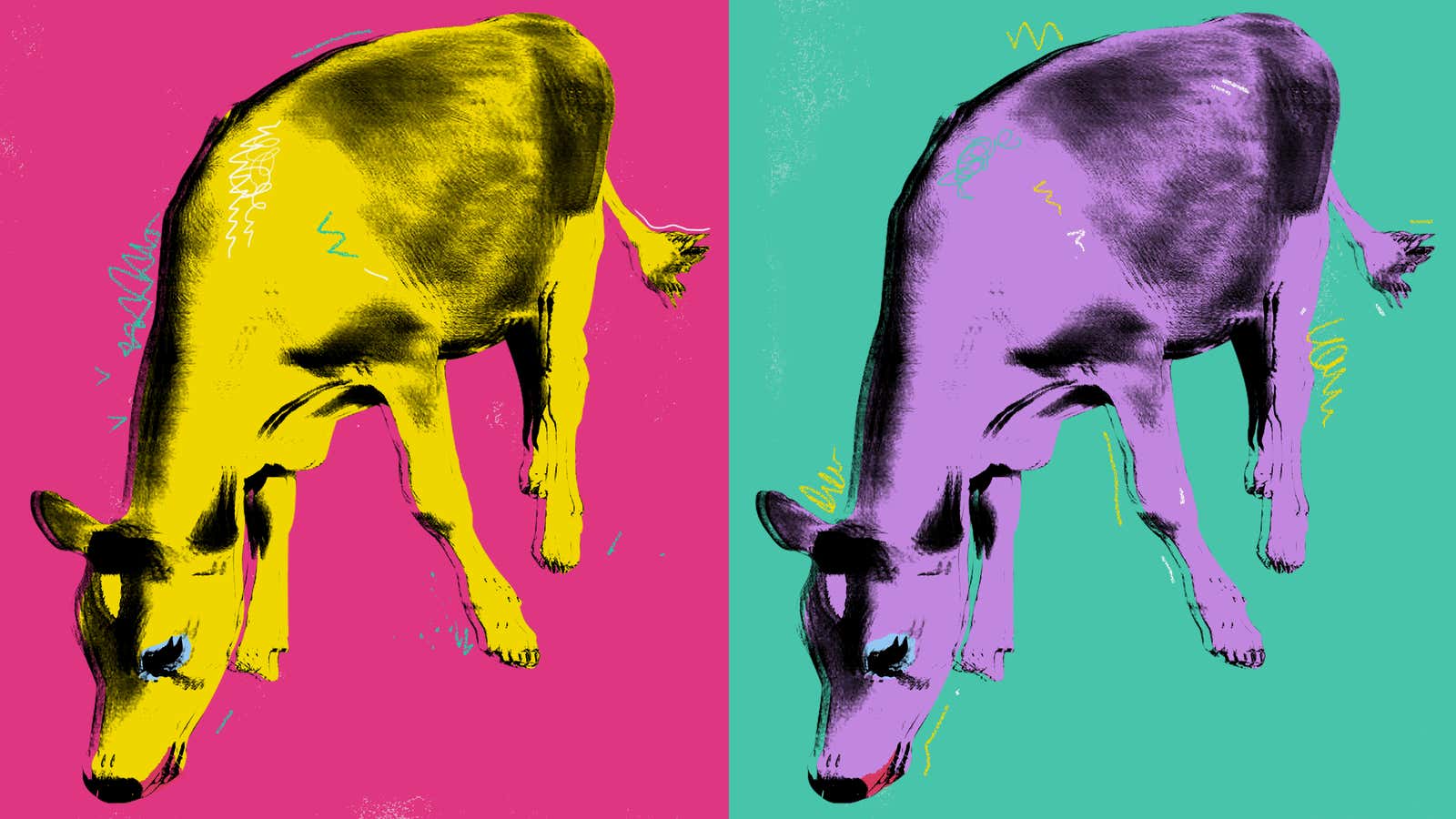 Impressions of Crouton, a Moderately Famous Internet Cow