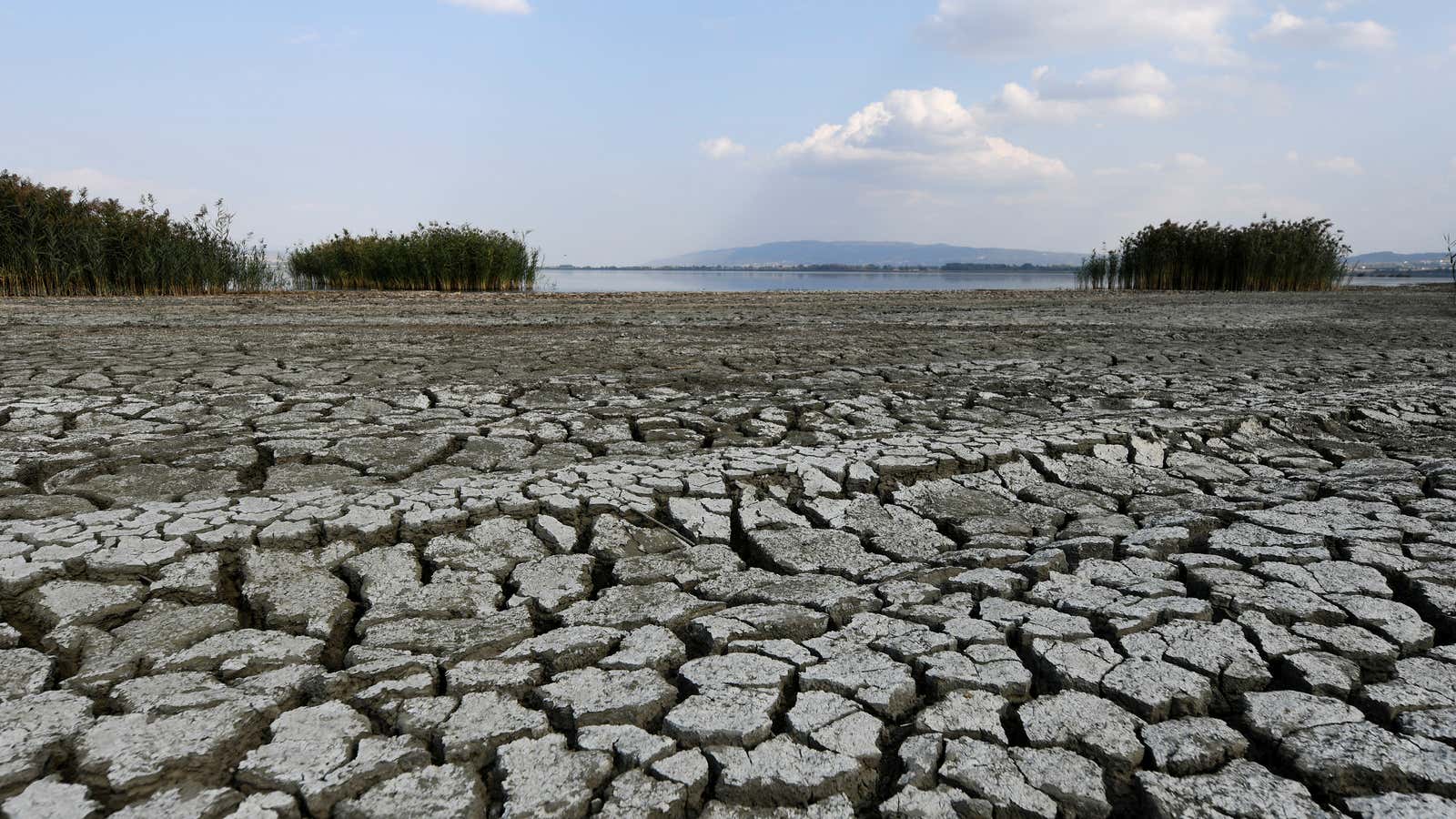 A dried-out part of Lake Koronia, Greece.