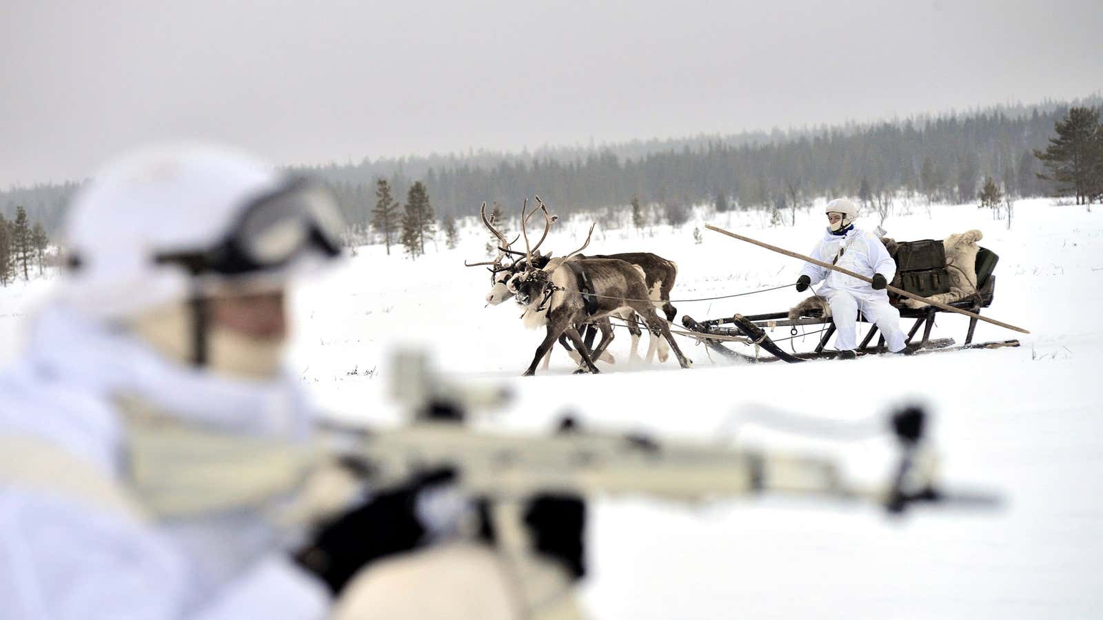 Just your normal Russian military reindeer escort.