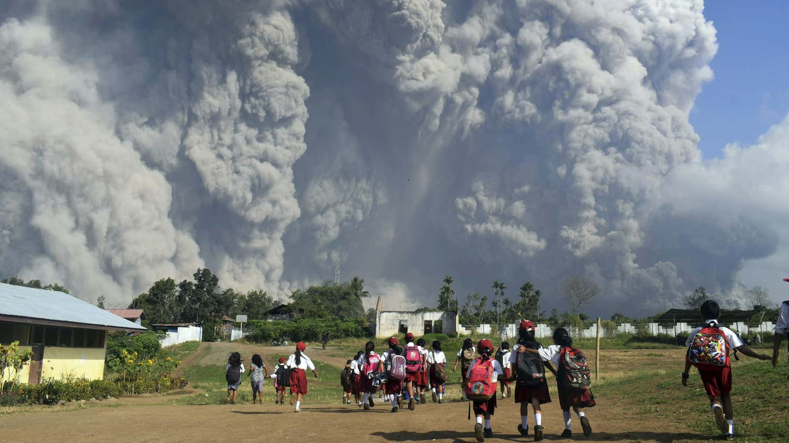 A wall of ash.