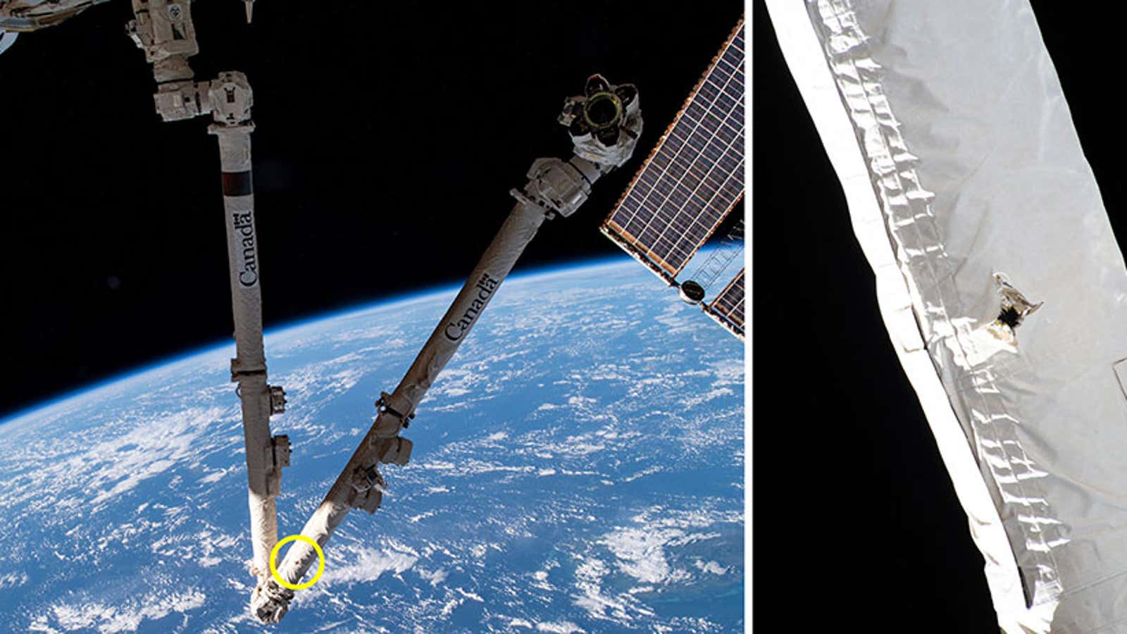 A 5 mm hole from a debris strike is visible on the International Space Station’s robotic arm.