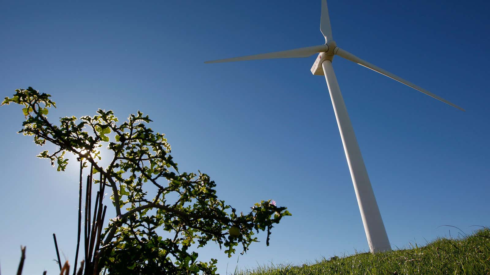 Giant wind turbines at  near Cape Town