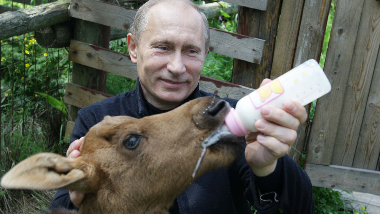 A softer Putin