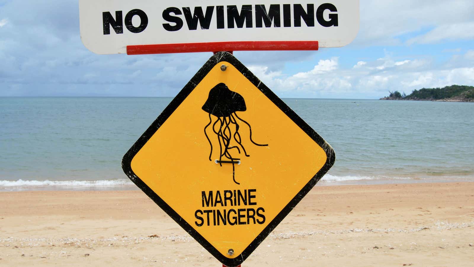 A sign posted at Horsehead Bay, Queensland.