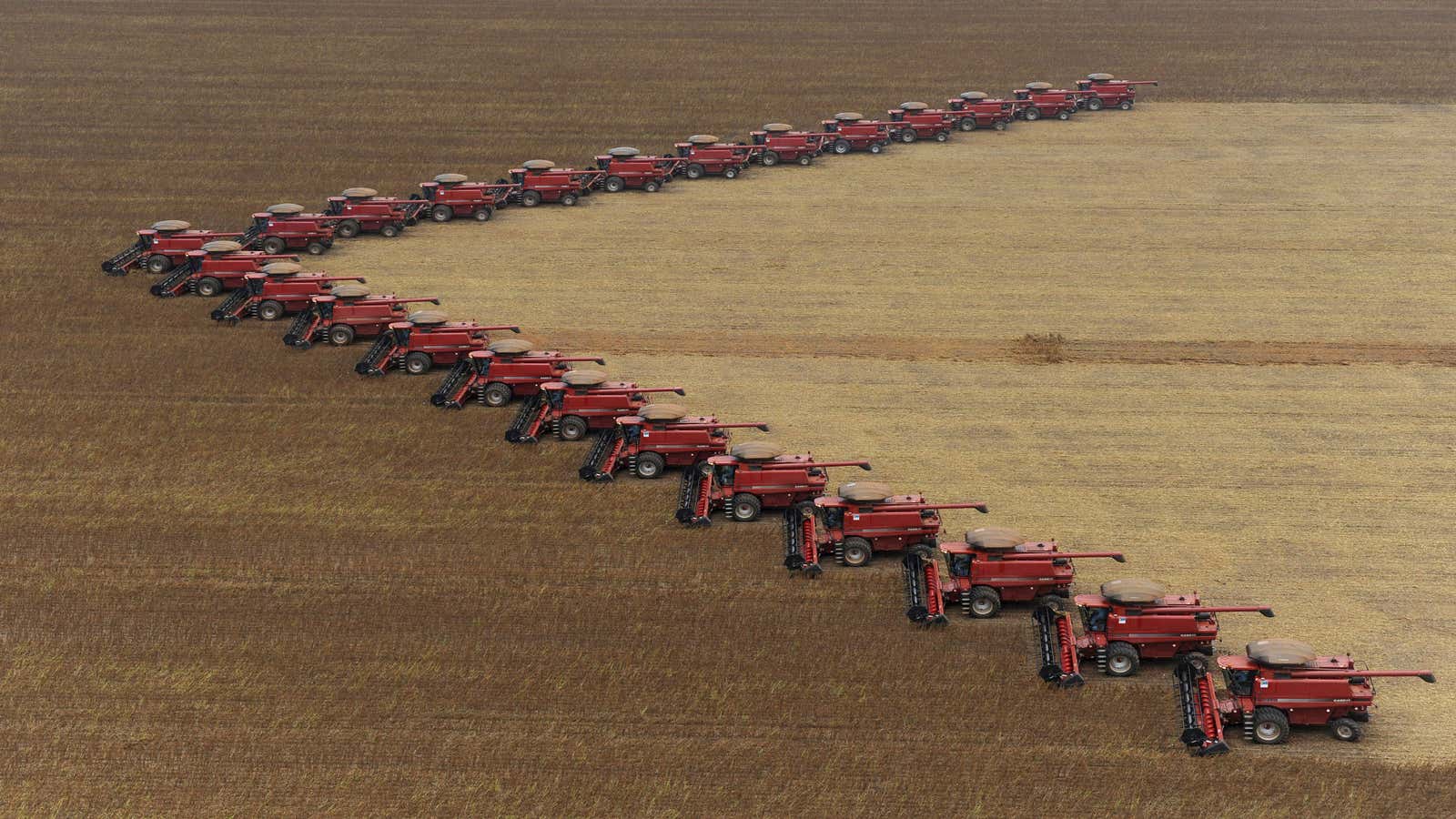 One of Brazil’s most important exports, soybeans,being harvested in  in the state of Mato Grosso.