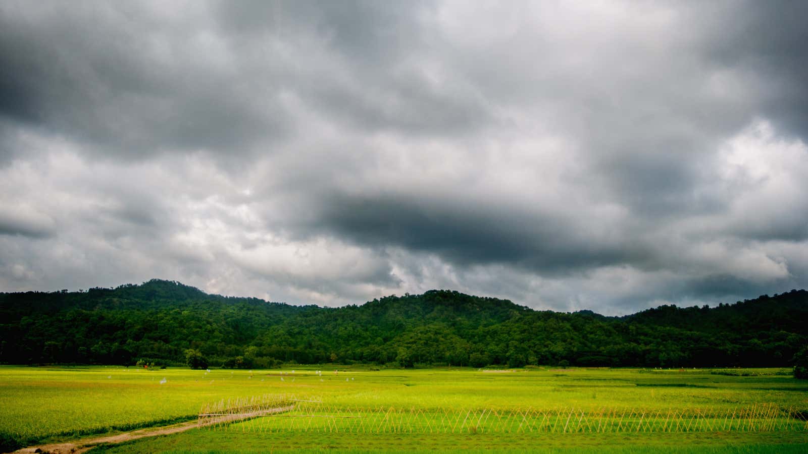 A view of the hills outside of Chittagong, Bangladesh.