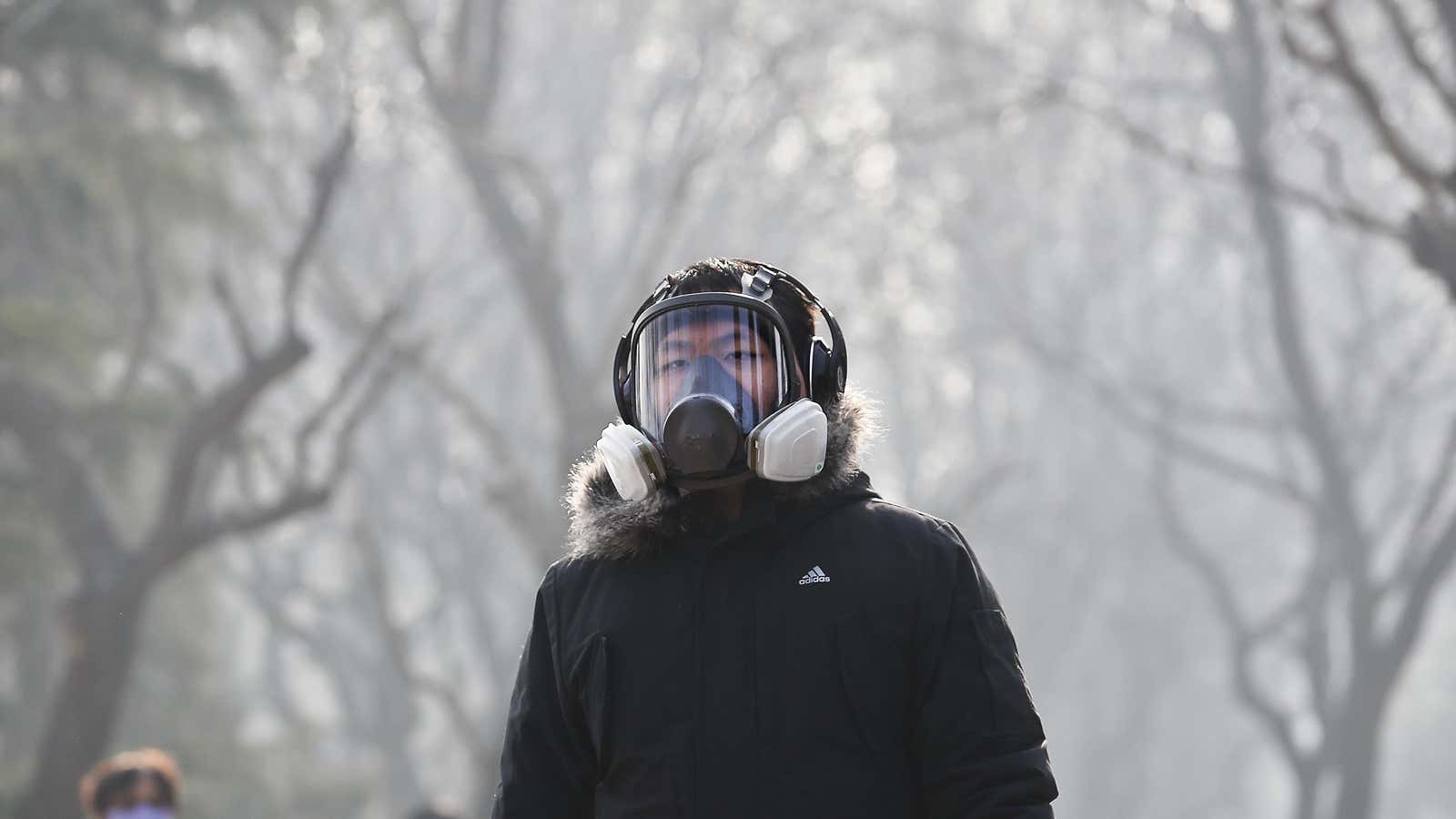 A walk in the park with no fresh air.