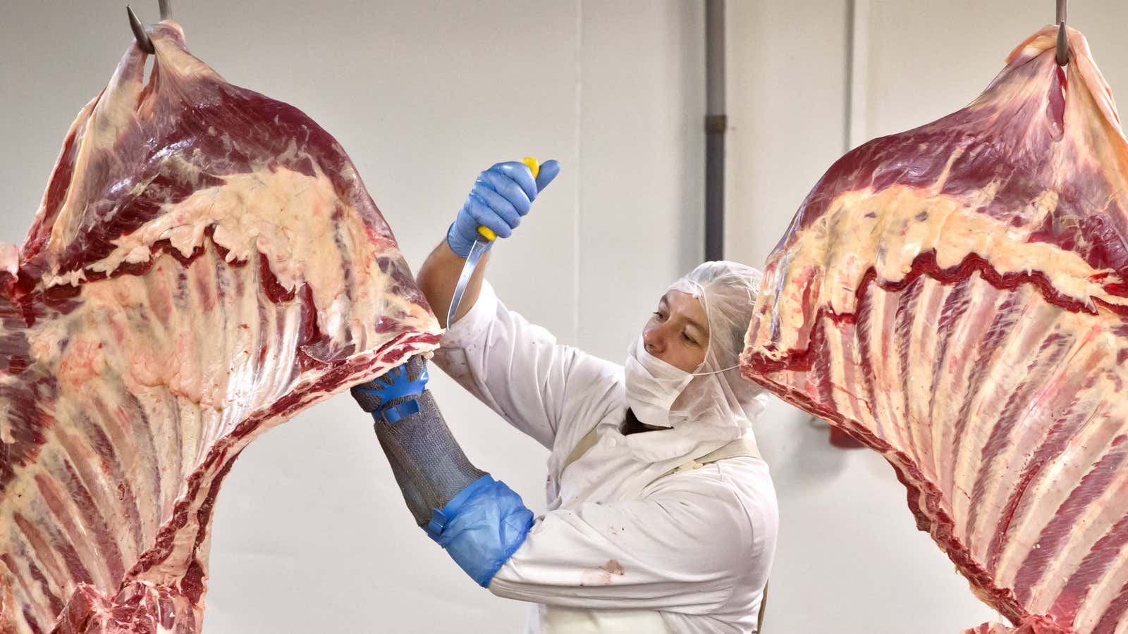 A worker handles meat at the Doly-Com abattoir, one of the two units checked by Romanian authorities in the horse meat scandal, in the village of Roma, northern Romania.