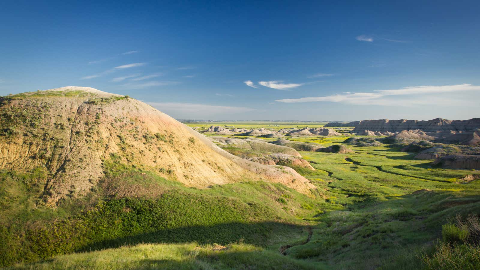 Maybe scenic vistas reduce income inequality.