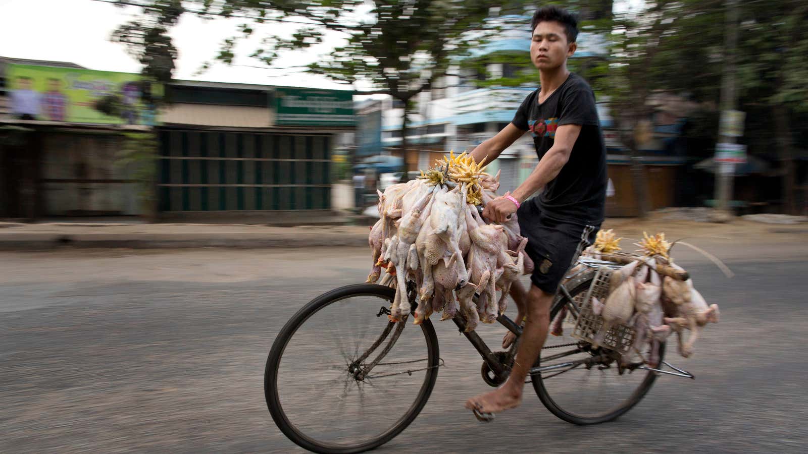 Myanmar’s economy is picking up speed.