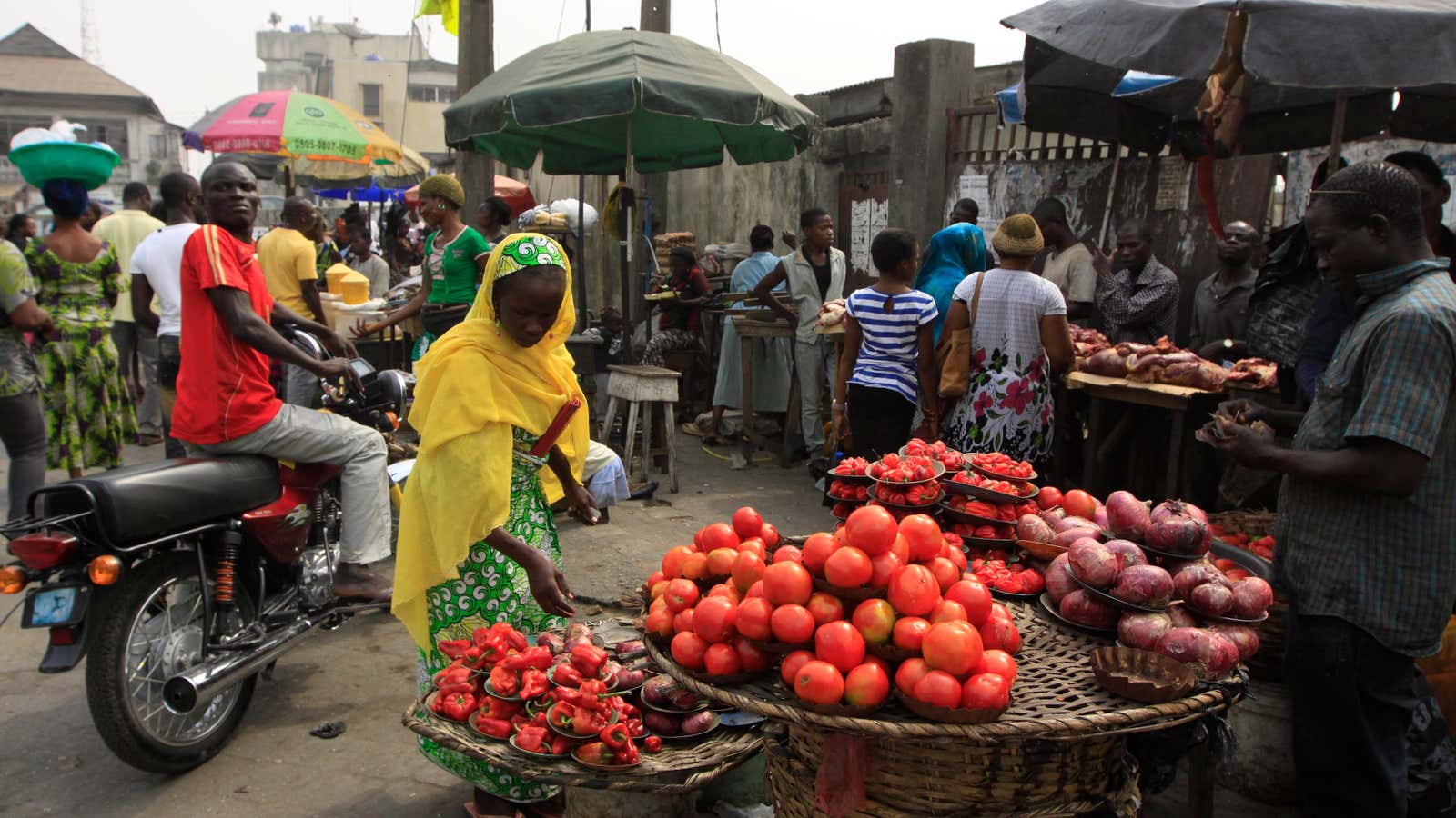 Nigeria is the breadbasket of west-central Africa.