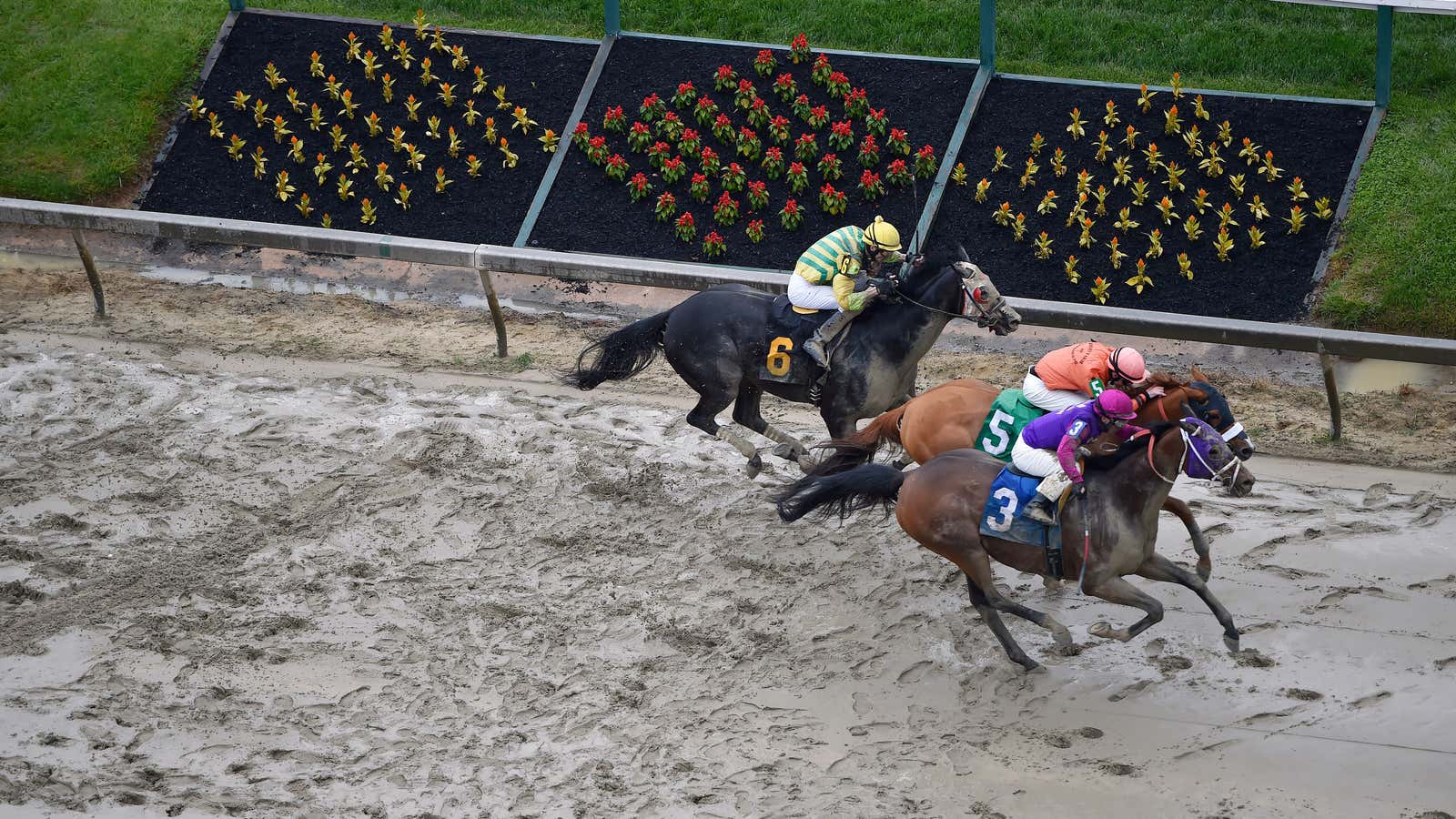 Homeboykris (3) in the first Preakness race.