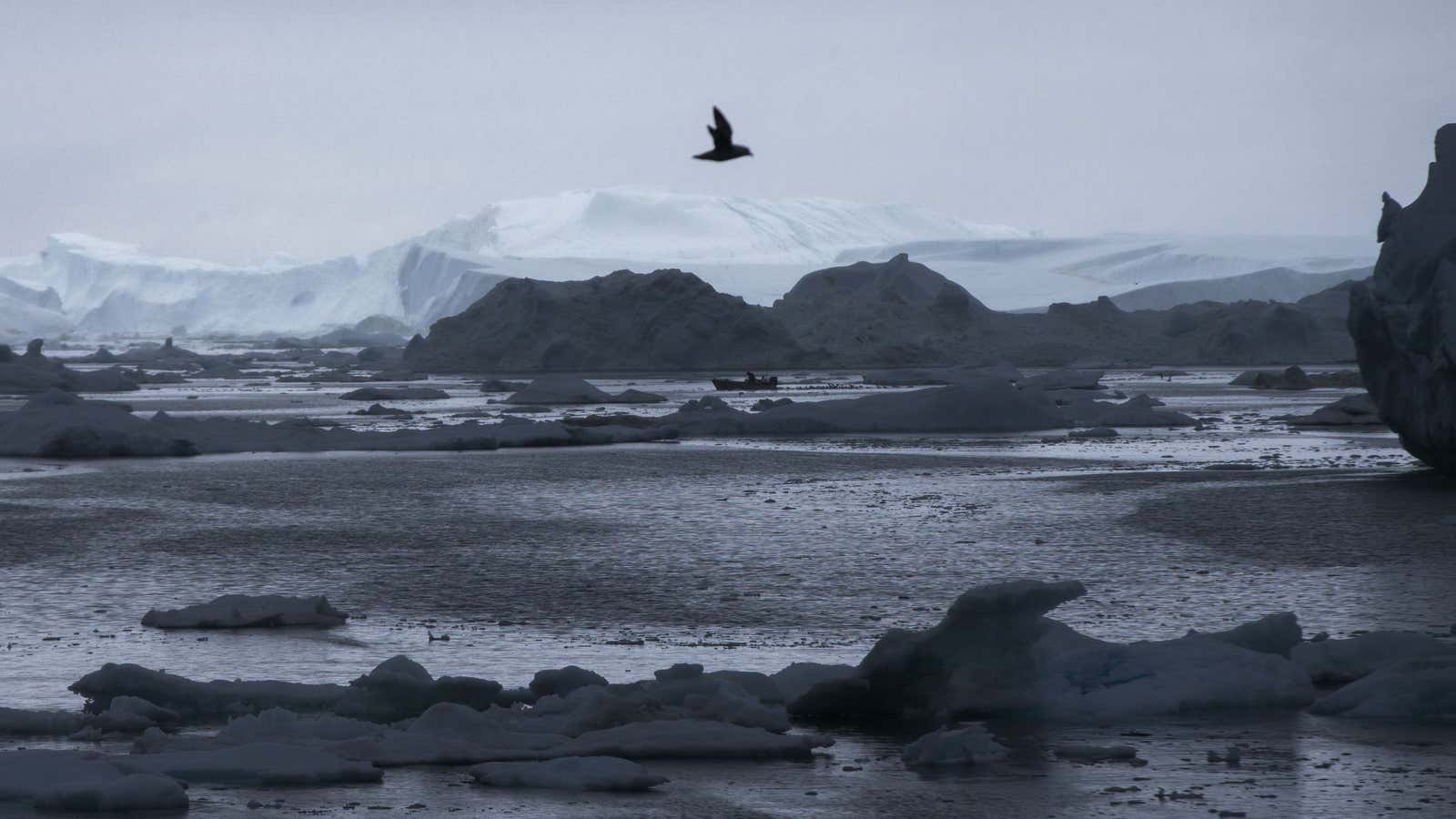 Remains of the oldest life on Earth was found in Greenland.