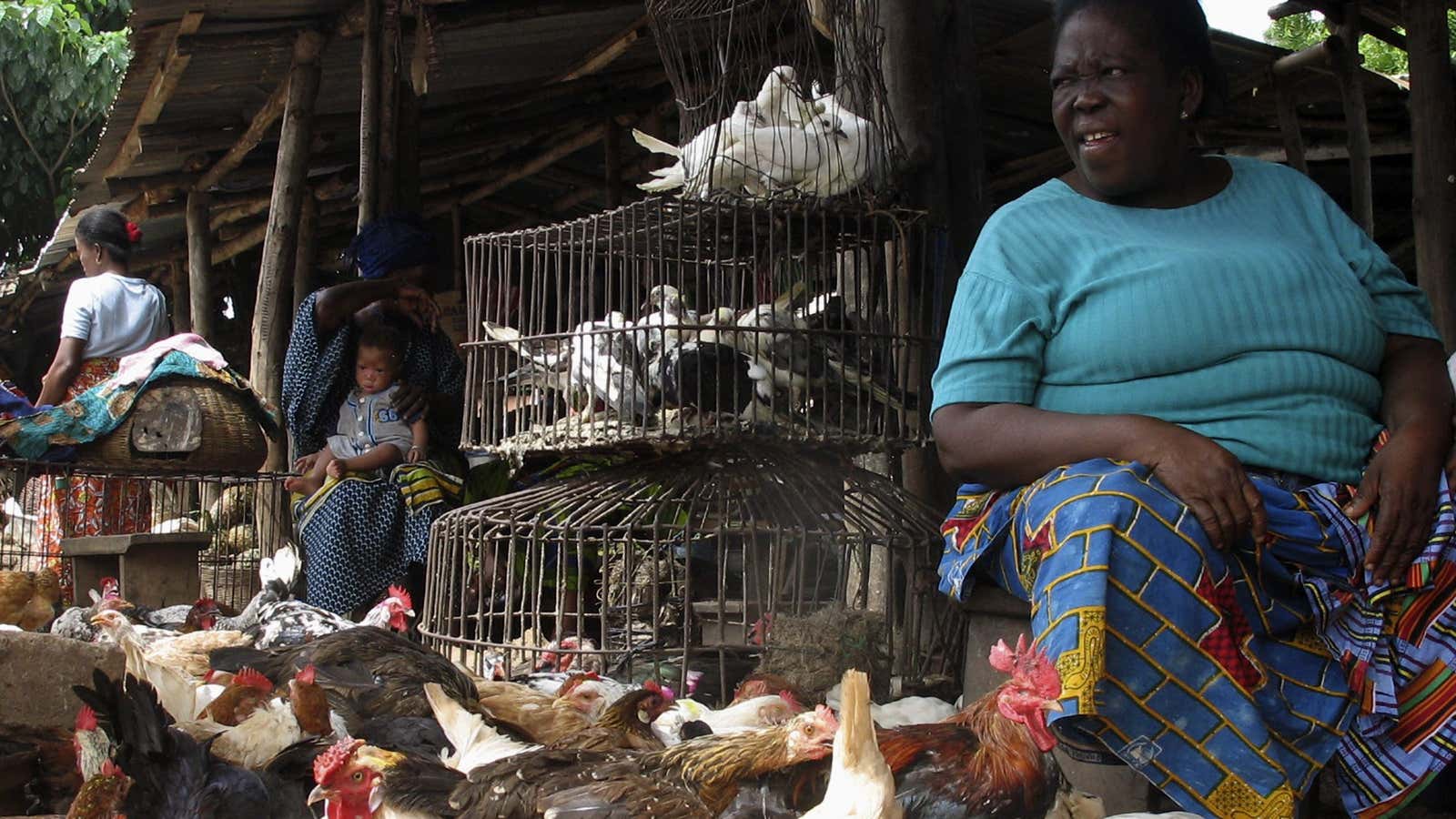 Informal traders benefited from the cash transfers in Lomé, Togo.