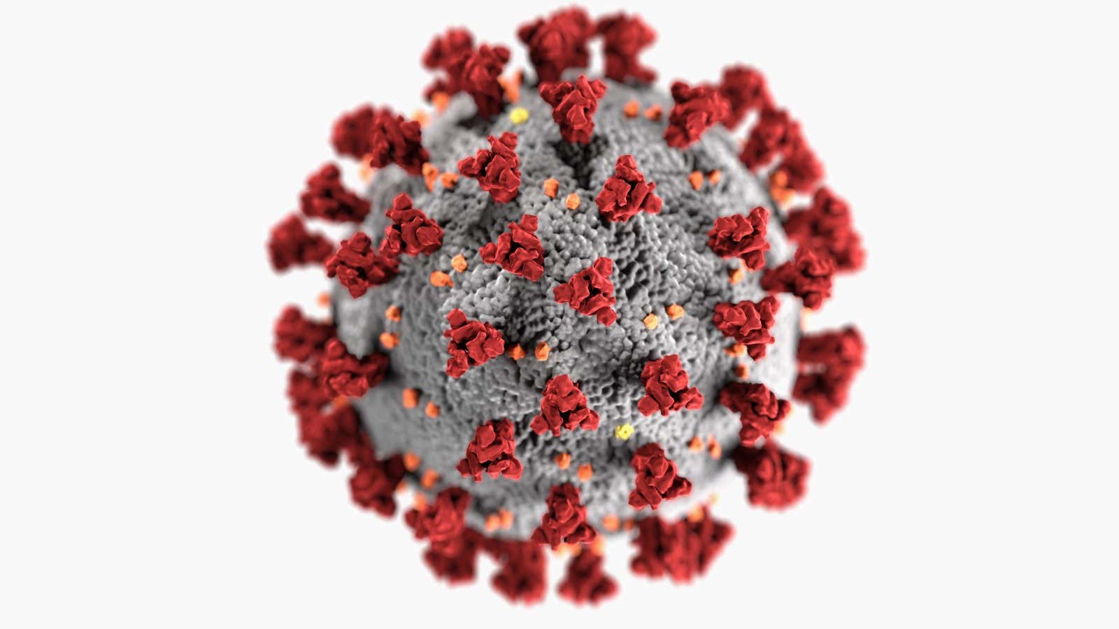 Scientific Papers On Novel Coronavirus Doubling Every 14 Days