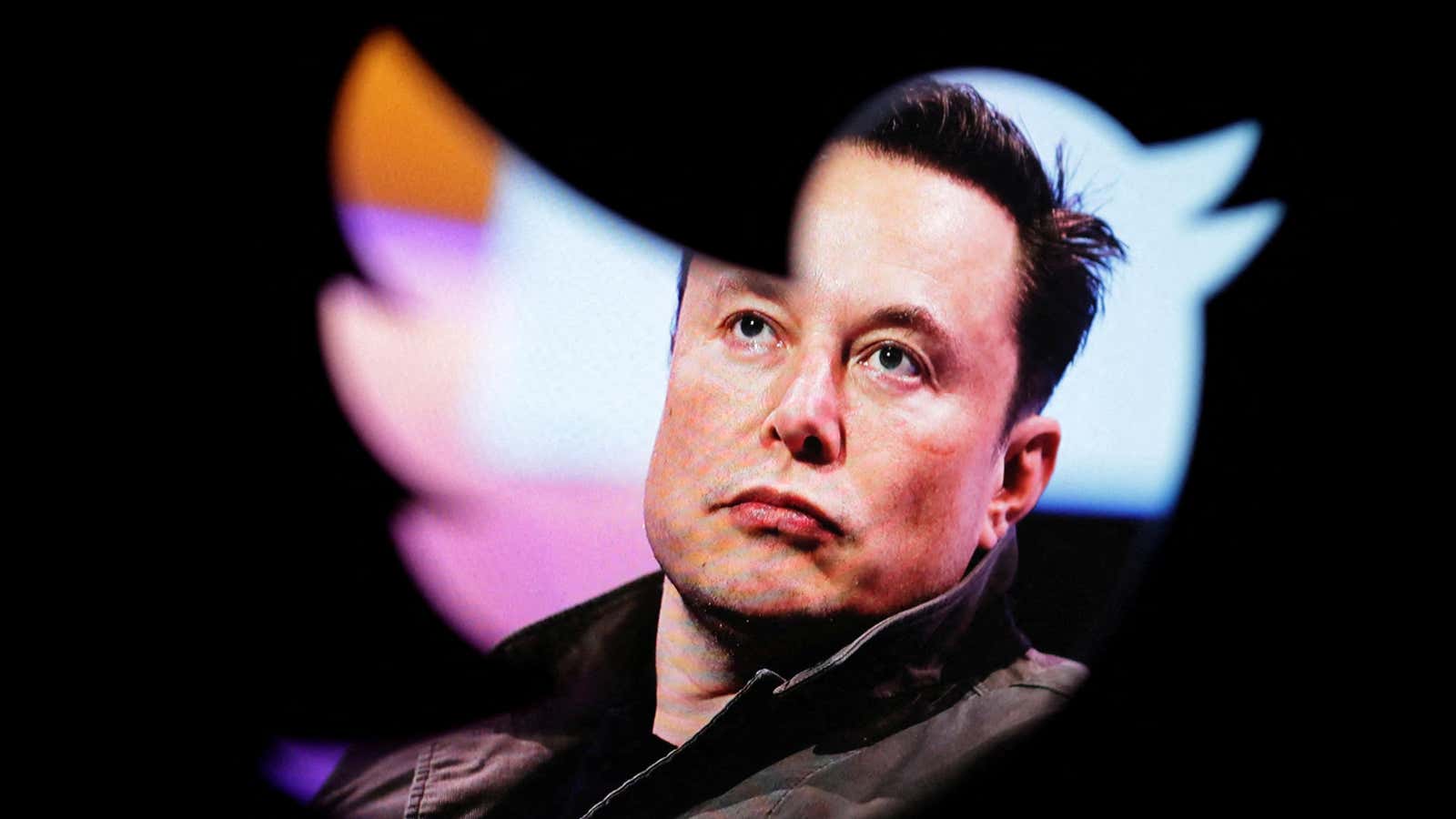 Free speech warrior Elon Musk's Twitter is muting Indian voices worldwide