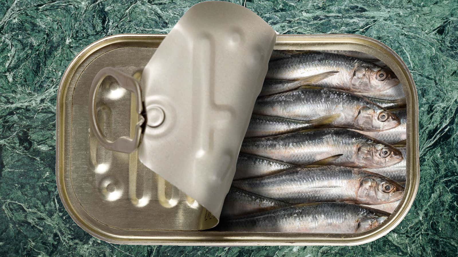 Sardines picture store