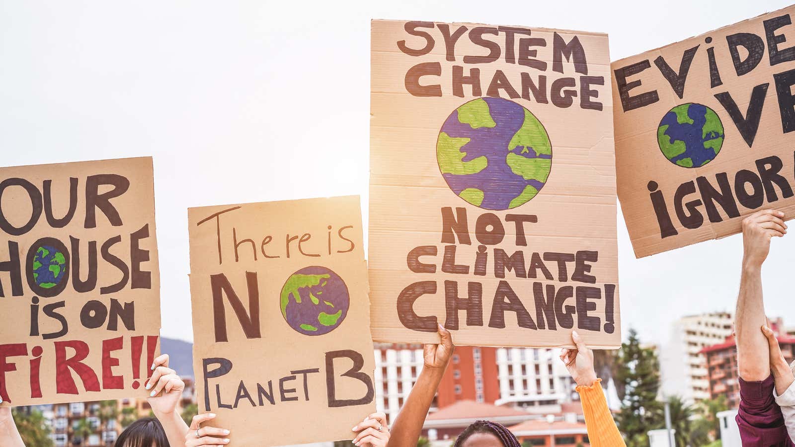 A Best-Selling Book, a Pair of Ambitious Influencers, and the $400 Sweater Forcing a Reckoning Among Climate Activists