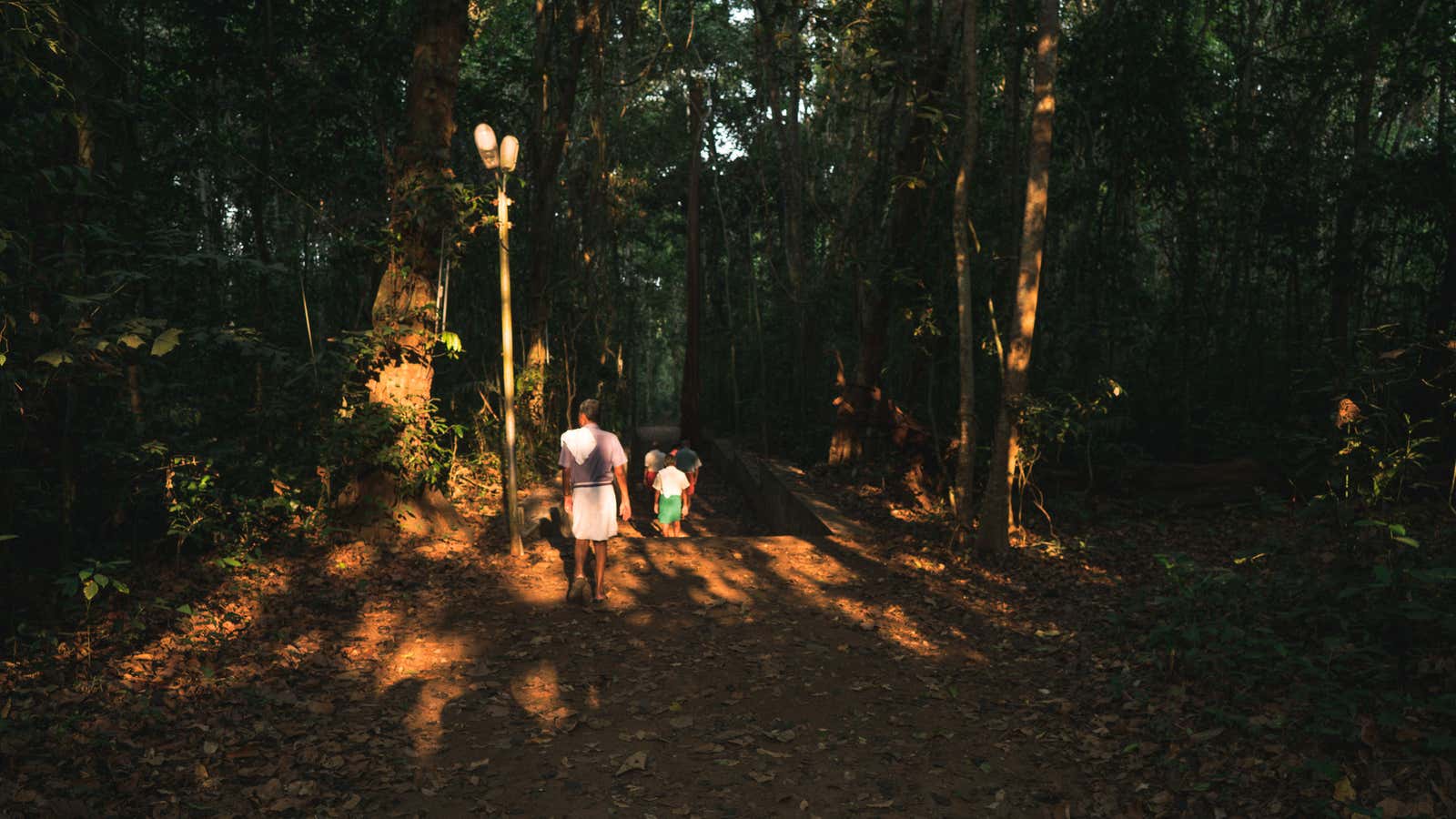 Men walking through the forest in Iringole Kavu near Kochi.