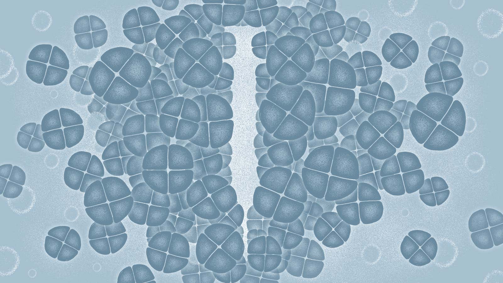 A Model for Manganese interaction with Deinococcus radiodurans