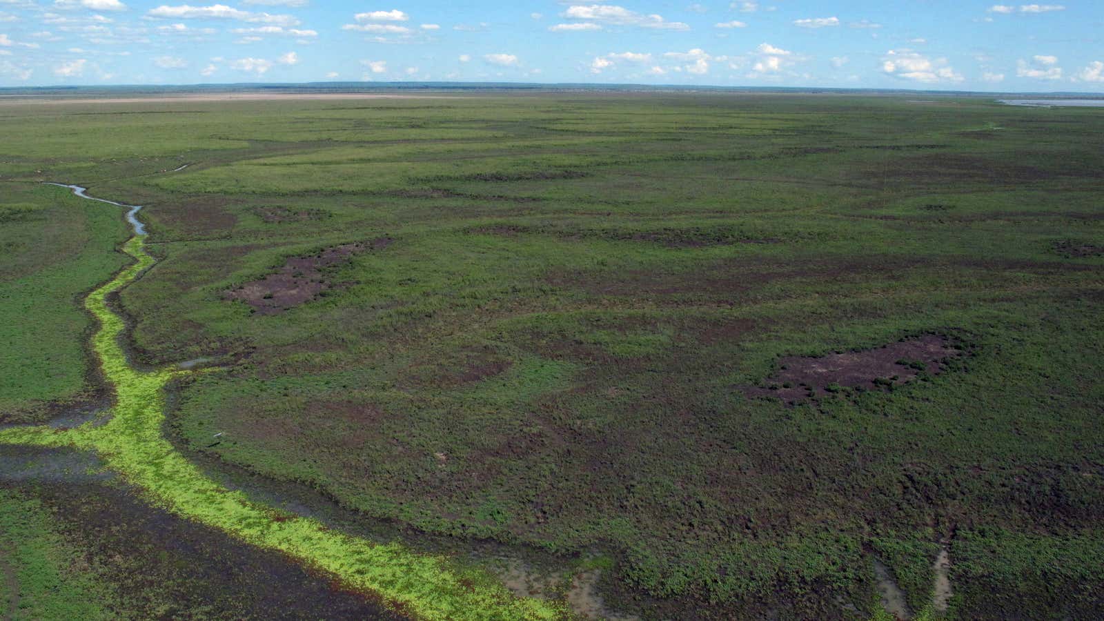 An aerial view of a national park in Mozambique