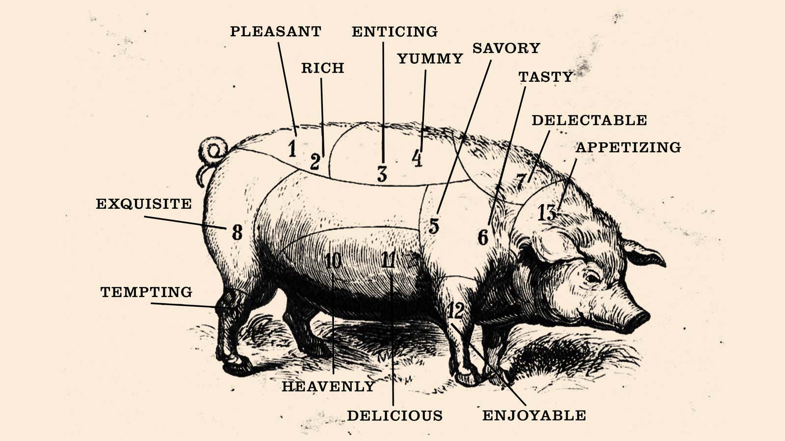 There's No Such Thing as 'Weird' Meat