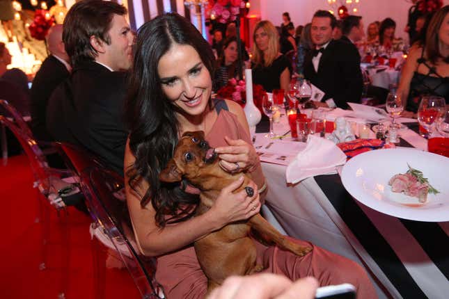 Image for article titled Small Dog or Baby: Demi Moore Must Choose