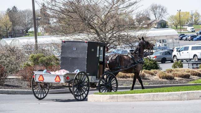 Amish horse and buggy entering grocery store parking lot