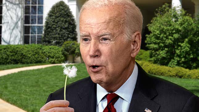 Image for article titled Joe Biden Officially Wishes Student Loans Away By Blowing On Dandelion