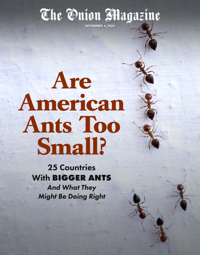 Image for article titled Are American Ants Too Small? 25 Countries With Bigger Ants And What They Might Be Doing Right