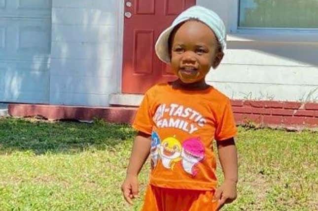 Image for article titled More Answers in the Grisly Death of Toddler Found in Alligator