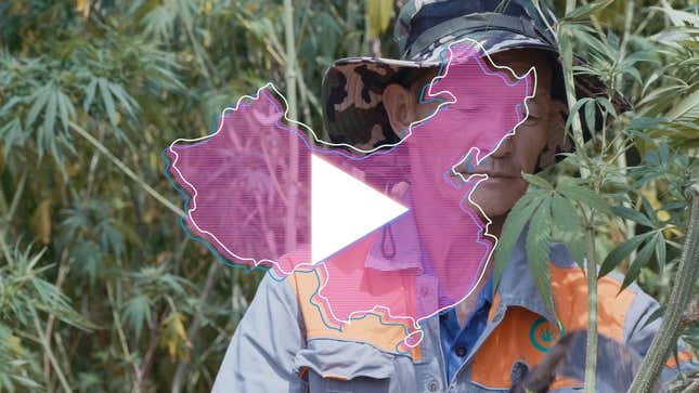 Image for article titled 今週のQuartz:中国大麻ブーム、今年のファッショントレンド、インドの決済サービス