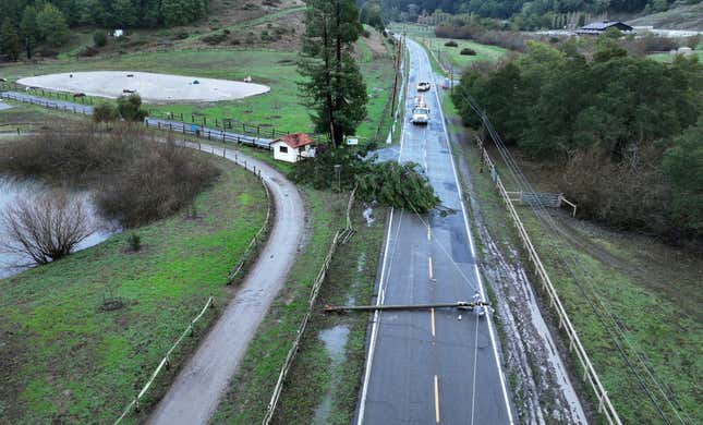 In an aerial view, a tree and utility pole are seen resting on Nicasio Valley Road after being toppled by high winds on January 05, 2023 in Nicasio, California. 