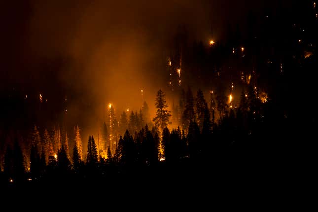 Trees burning on a hillside in Yosemite National Park on Saturday, July 9.
