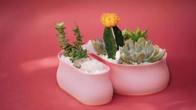 Image for article titled Gifts For Your Friend Who Has Way Too Many Goddamn Plants