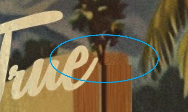 An image shows a wonky palm tree.