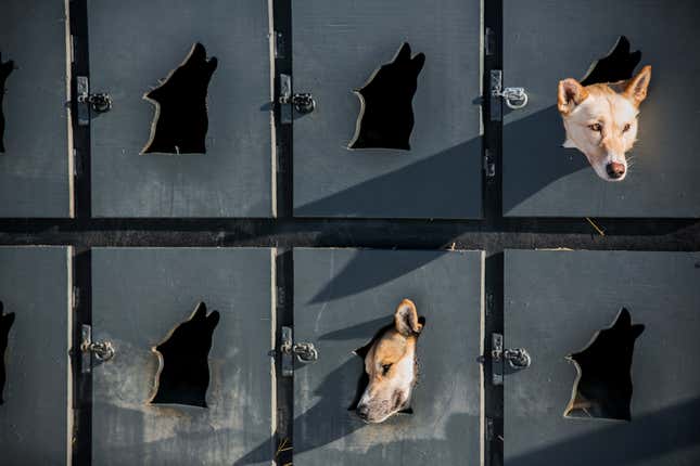 (Reuters/Nathaniel Wilder)