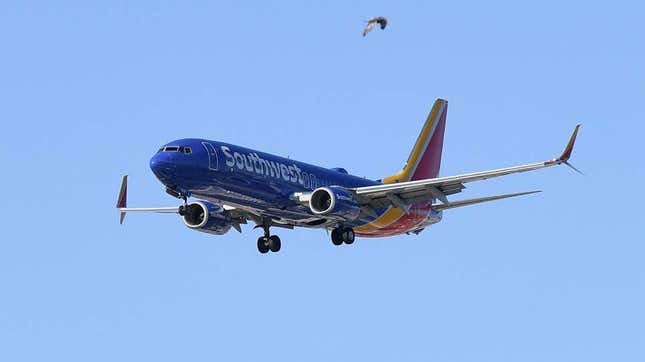 Imagen para el artículo titulado Un piloto amenaza con regresar si los pasajeros no dejan de envíar fotos de sus penes por Airdrop