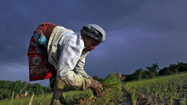 Image for article titled Borders:インド農民は何に怒っているのか