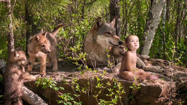 Image for article titled Alarming Study Finds Only 20% Of Unwanted Babies Adopted By Wild Animals