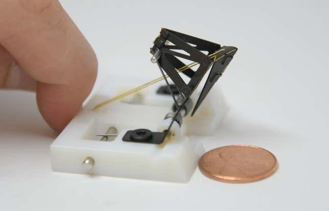 Imagen para el artículo titulado Este robot con tendones de kevlar imita el demoledor puñetazo de la gamba mantis