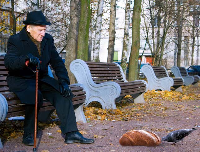 Image for article titled Grateful Pigeons In Park Finally Return Favor By Feeding Whole Loaf Of Bread To Lonely Old Man