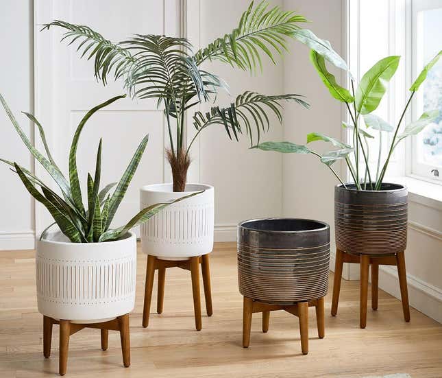 Image for article titled Gifts For Your Friend Who Has Way Too Many Goddamn Plants