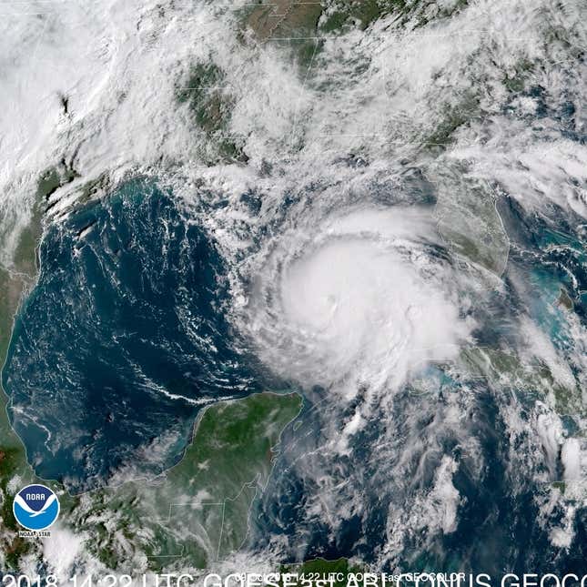 Picture: Hurricane Michael and Florida from space