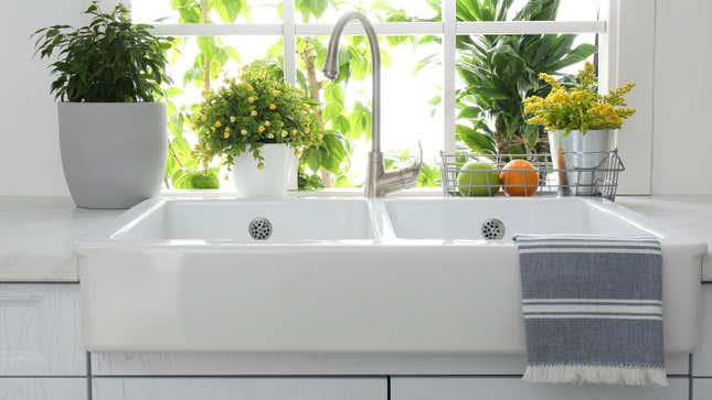 Photo of a white porcelain sink with two basins in front of a window filled with plants. There's a blue and white striped towel hanging over the right side of the sink.