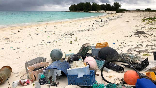 Plastic and other debris on the beach on Midway Atoll in the Northwestern Hawaiian Islands. 