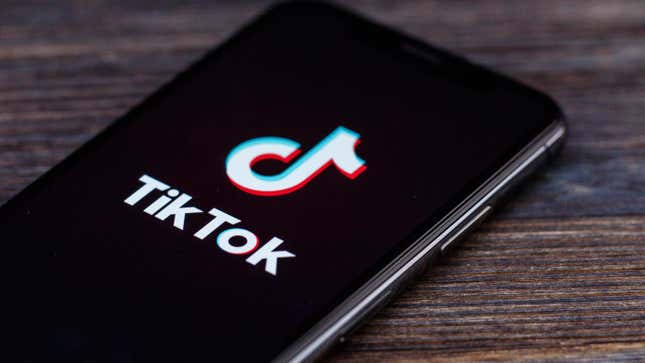 Image for article titled How to Silence Your Trolls on TikTok