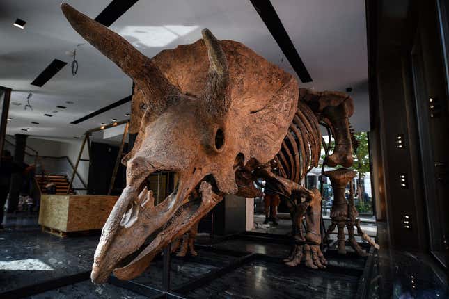 ‘Big John’ estará en exhibición en París hasta que tenga lugar la subasta el 21 de octubre