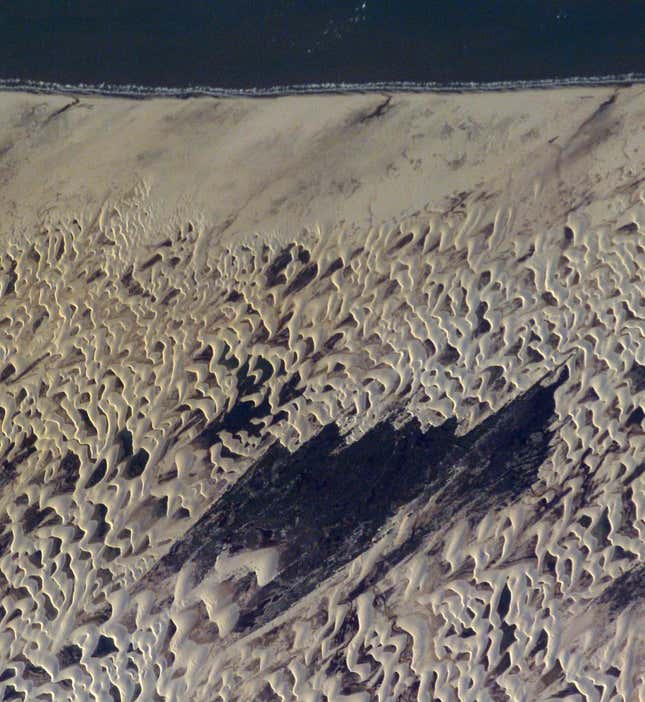 Image for article titled The abstract beauty of dunes seen from space
