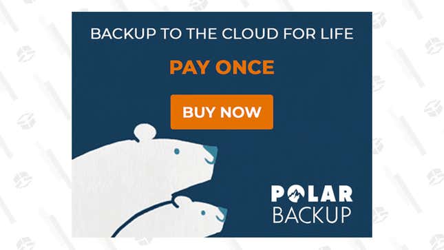 Polarbackup Cloud Storage Lifetime Subscription | $99 | StackSocial